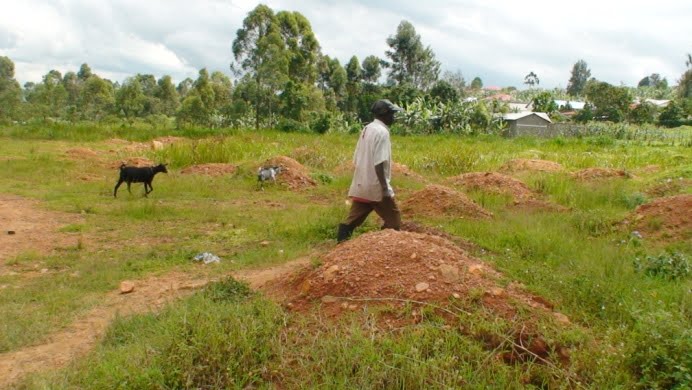 Access to information held by public bodies is still a challenge for ordinary Ugandans