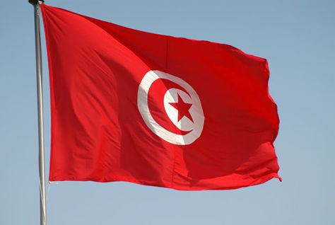 Tunisia Assembly approves Freedom of Information law