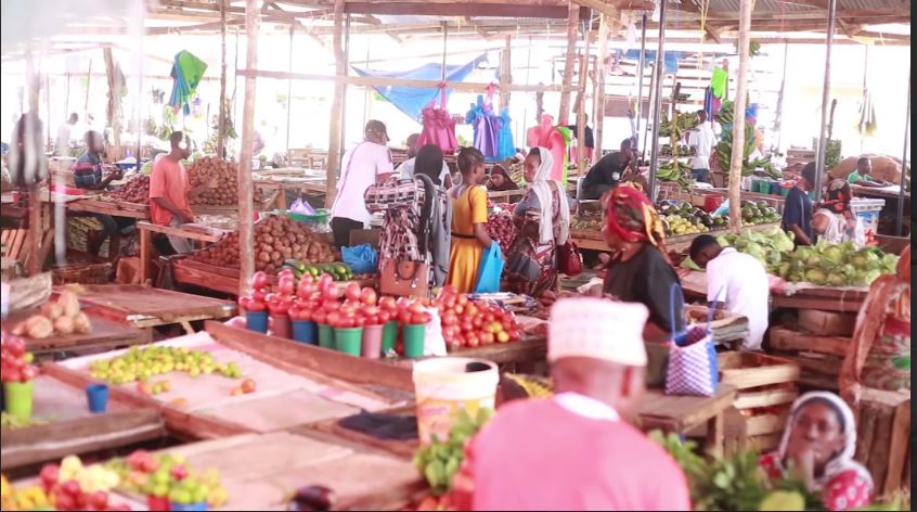  Inclusive Public Procurement: Empowering Women-Led Businesses in Tanzania